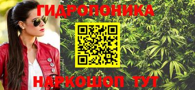 сатива Краснодар